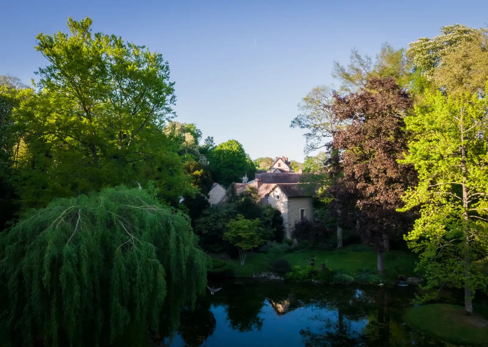 courances-domaine-8-drone-jardin-japonais-6