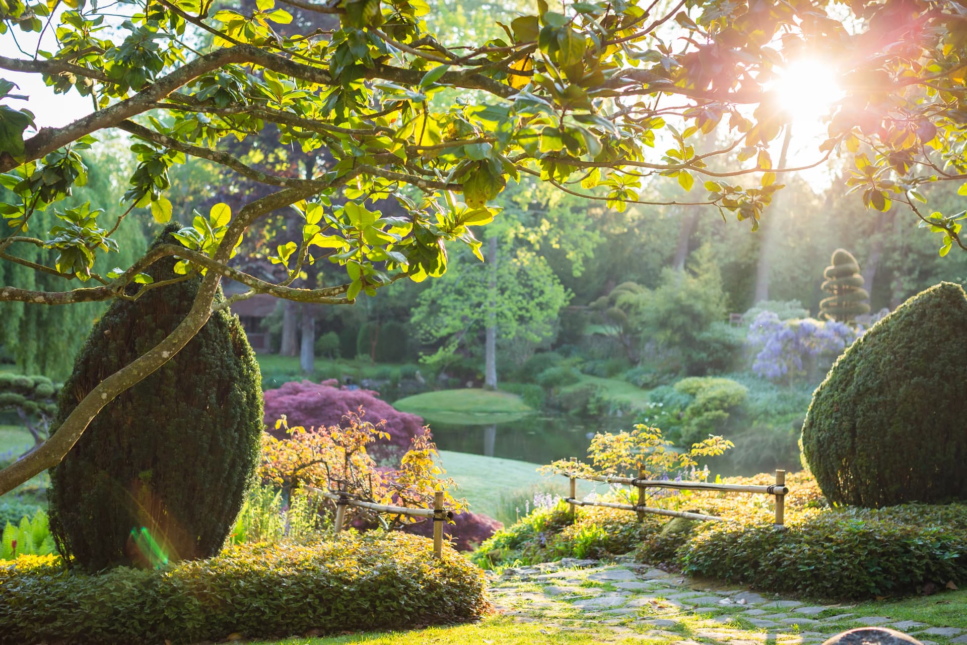 Jardin Japonais Domaine de Courances