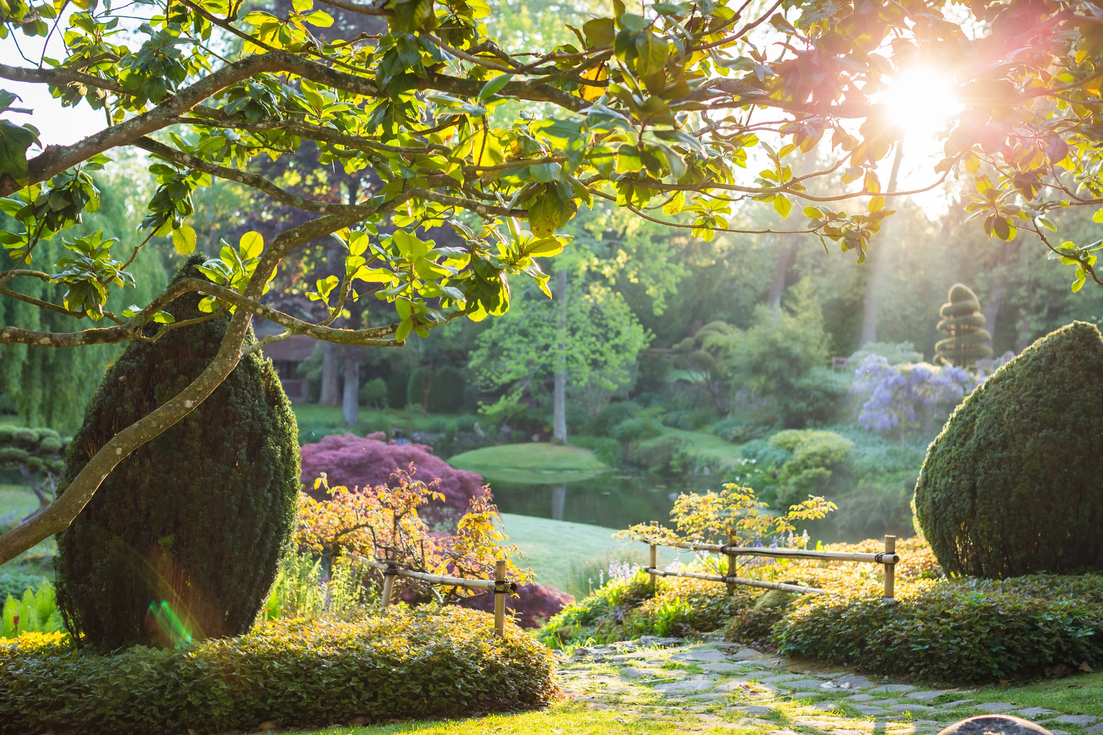 Jardin Japonais Domaine de Courances
