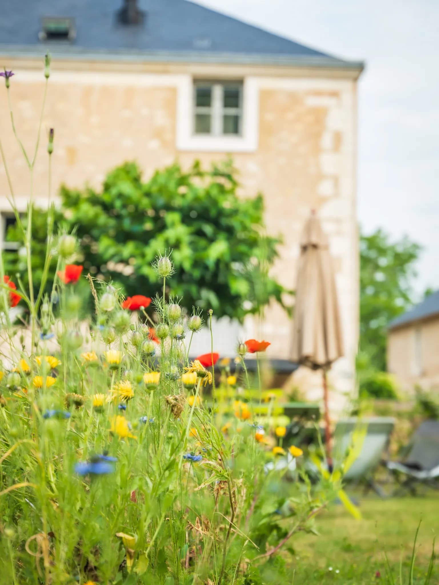 Le Moulin de Prunget