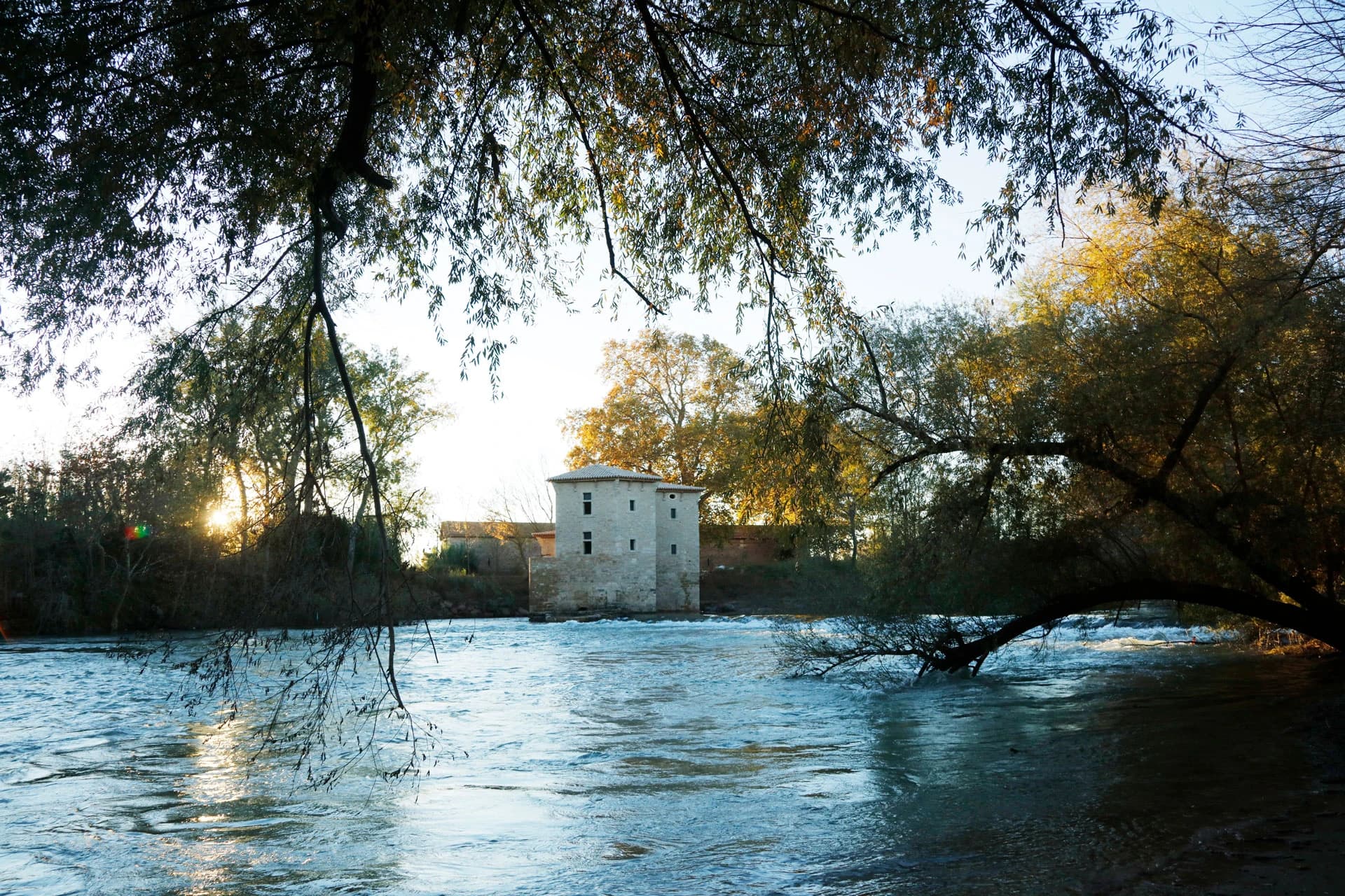 In Harmony with Nature